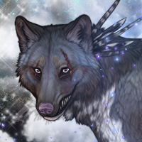 Wolf Headshot