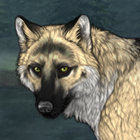 Wolf Headshot