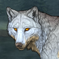 Wolf Headshot