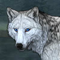 Wolf Headshot