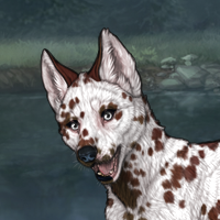 G2 Dalmation Female Headshot