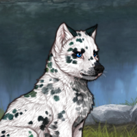 G2 T2 Dalmatian Headshot