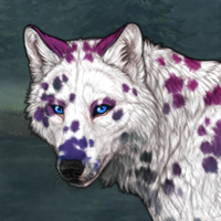 G2 T2 Dalmatian Headshot