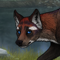 Bisque Headshot