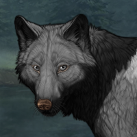 Wolf Headshot