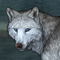 Wolf Headshot