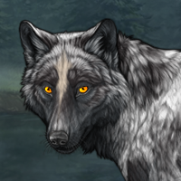 Wolf Headshot