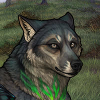 Saoirse the Faelwolf Headshot