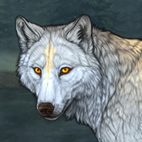 Wolf Headshot