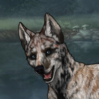 Badger g6 storm Headshot