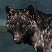 Wolf Headshot