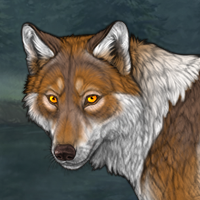 Wolf Headshot