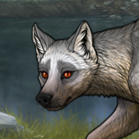 quartz fox eye 353s Headshot