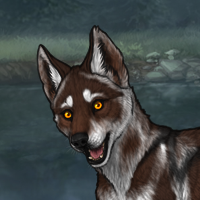 Wolfy Husko Headshot