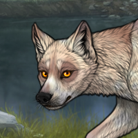 Saffron Headshot