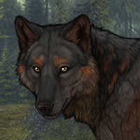 Wolf Headshot