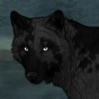 TBN (pointed Headshot