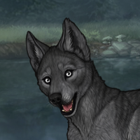 Ninebark Headshot