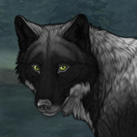 Wolf Headshot