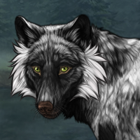 Wolf Headshot