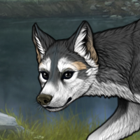 Dixi Headshot