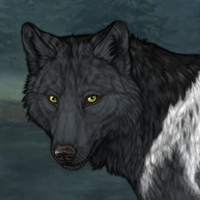 Wolf Headshot