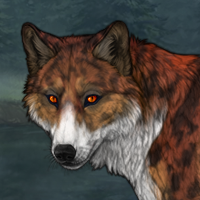 Rin Spiritwolf #8721 Headshot