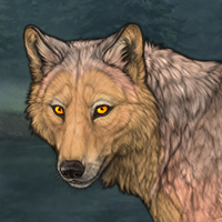 Feldspar / DBr Merle P Headshot