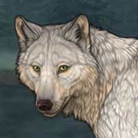 Wolf Headshot