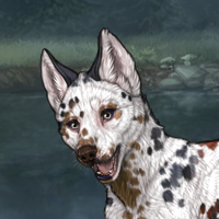 G2 T2 Dalmatian Headshot