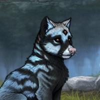 New Runt Puppy Headshot