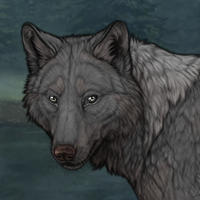 Greyghost Headshot