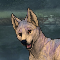 ((Pup))Sell Headshot