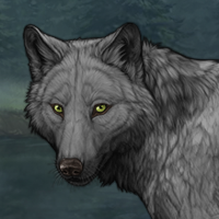 Wolf Headshot