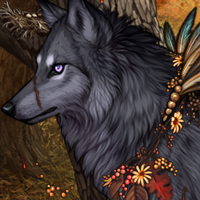 Wolf Headshot