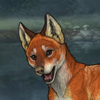 fox! Headshot