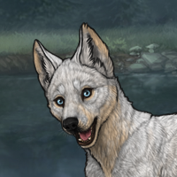 Enclave Puppy Headshot