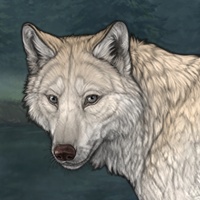 Kelpie Headshot