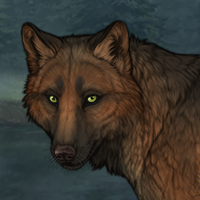 Oakfall Headshot