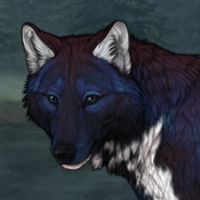 Losna Breeder - Meri Line Headshot