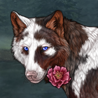 Laoch Headshot