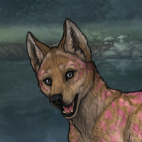 Female Sandy Pup / Event Headshot