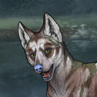 - Breeder Male - Headshot