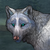 Wolf Headshot