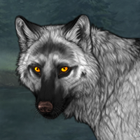 Wolf Headshot