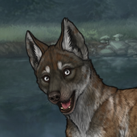 ((Pup))Sell Headshot