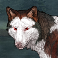 Cole Headshot