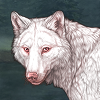 Skoll Headshot