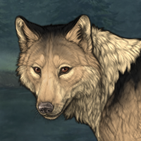 Wolf Headshot