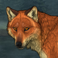 fox<3 Headshot